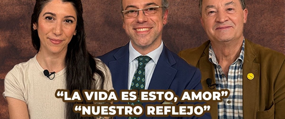 W08l vYQD Y 1200x500